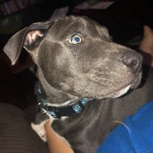 Meet your Posher, Gina